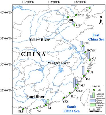 Corrigendum: Distribution and Diversity of Comammox Nitrospira in Coastal Wetlands of China